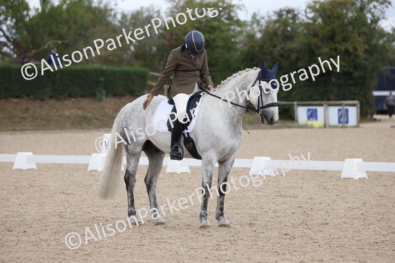 20250820-0788 - Class 15 - Novice 4