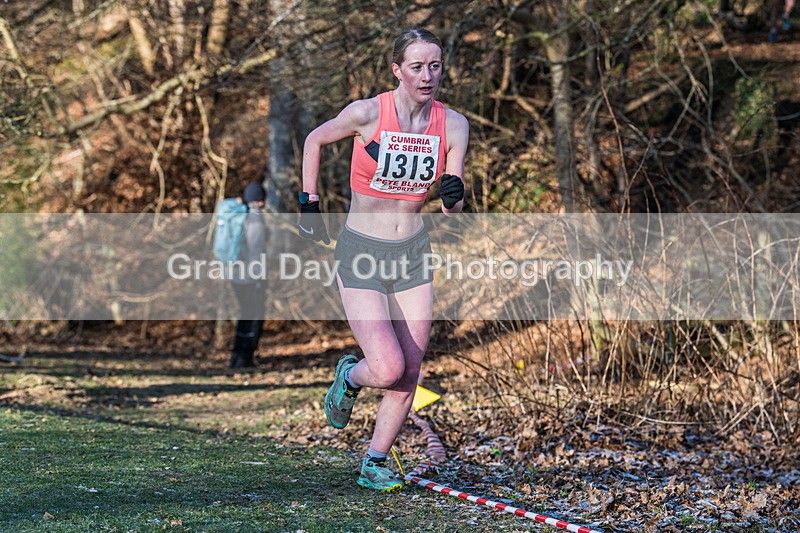 Cumbria XC-548 - Cumbria Cross Country Championships (Junior & Senior Races) Saturday 3rd January 2026