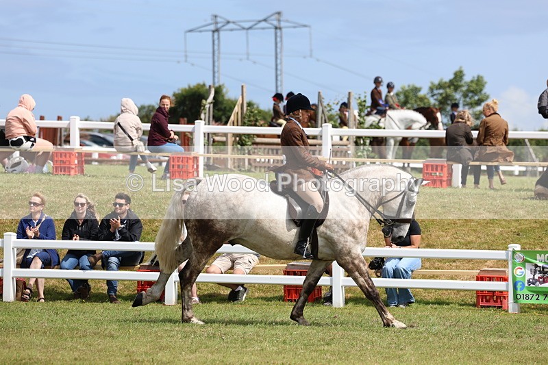 3E7A0438 - Class 6: Rising Star Maxi Cobs