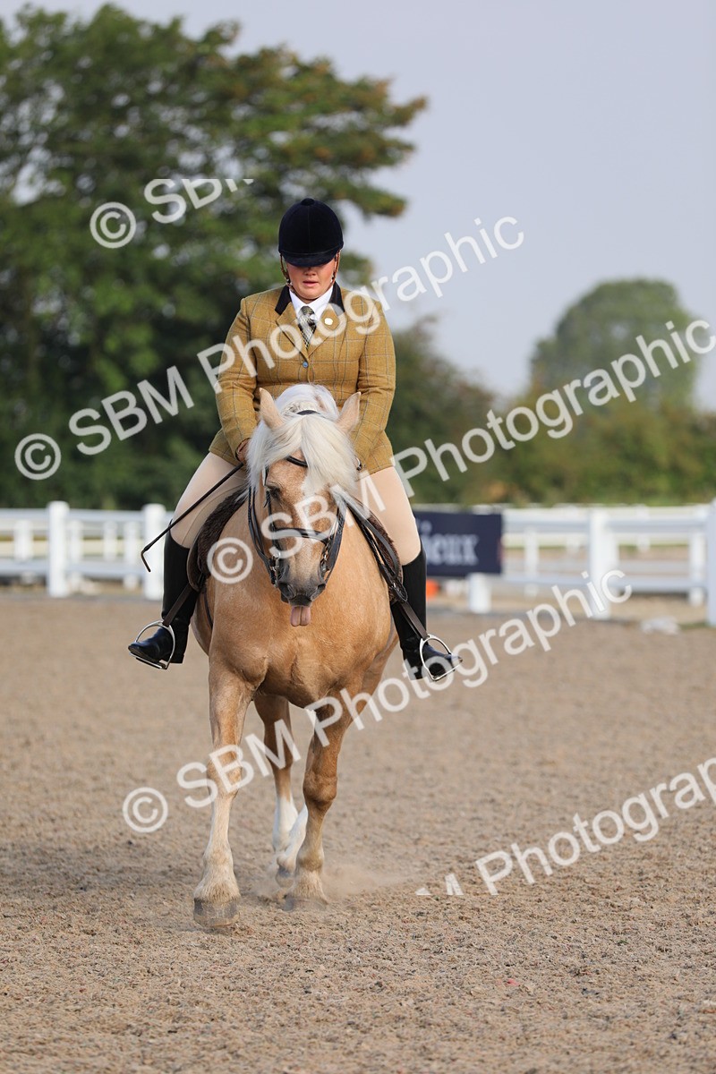 SBM_10111 - Class 302 Ridden M&M -Large Breeds