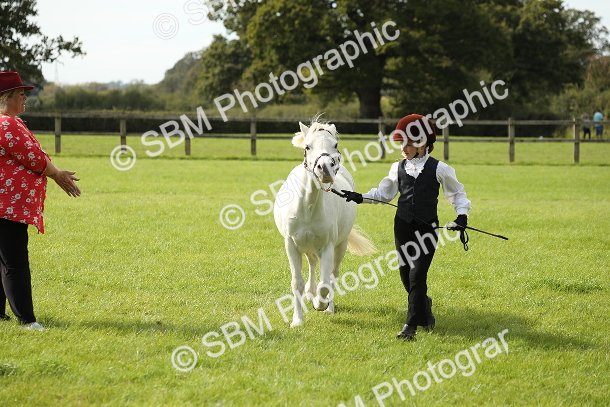 SBM_68673 - S40 - Junior Handler 9-12 Years