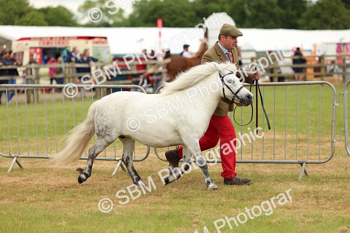 SBM_03510 - Class 58-67 - M&M Non Welsh Pony In hand