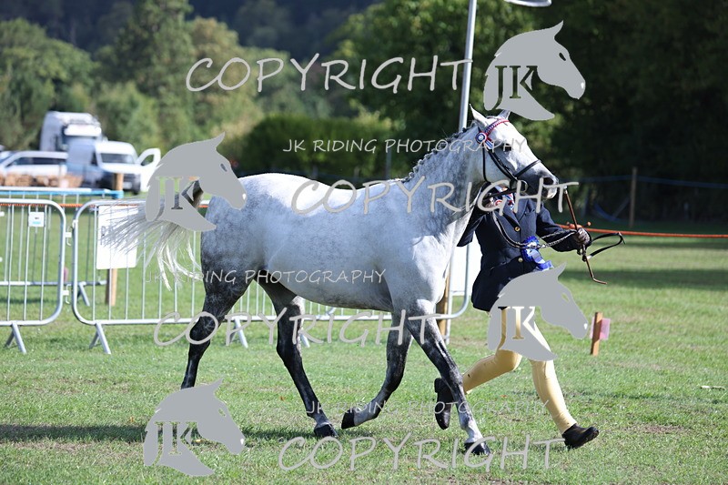 APP_2554 - Class 18 Young Handler