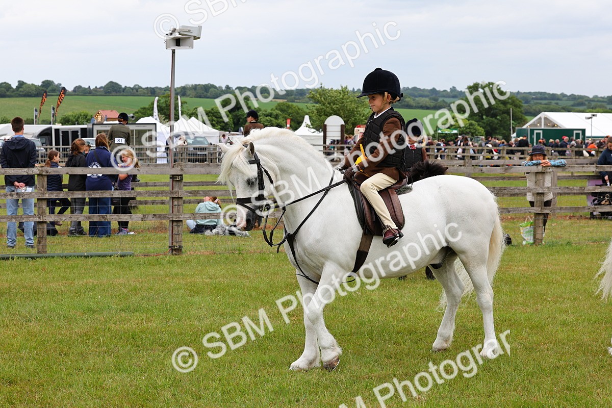 SBM_08858 - Class 42-43 - LIHS BSPS Heritage Working Sports Pony