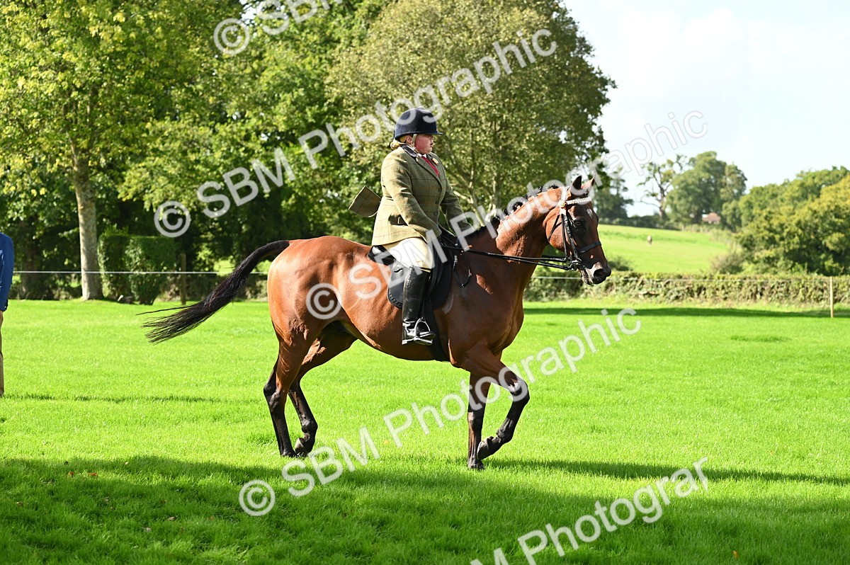 SBM_01484 - S2 - TSR Ridden Horse Showing