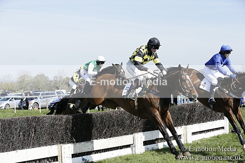 PtP 260317 71 - Mendip Farmers Point-to-Point Ston Easton 26/03/17