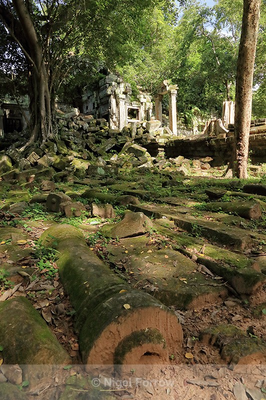 Fallen column at Beng Mealea, Cambodia - Cambodia