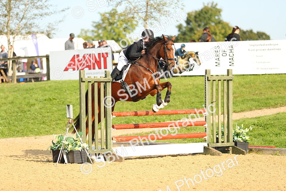 SBM_60320 - J41 - Grand Tour 95cm Championship