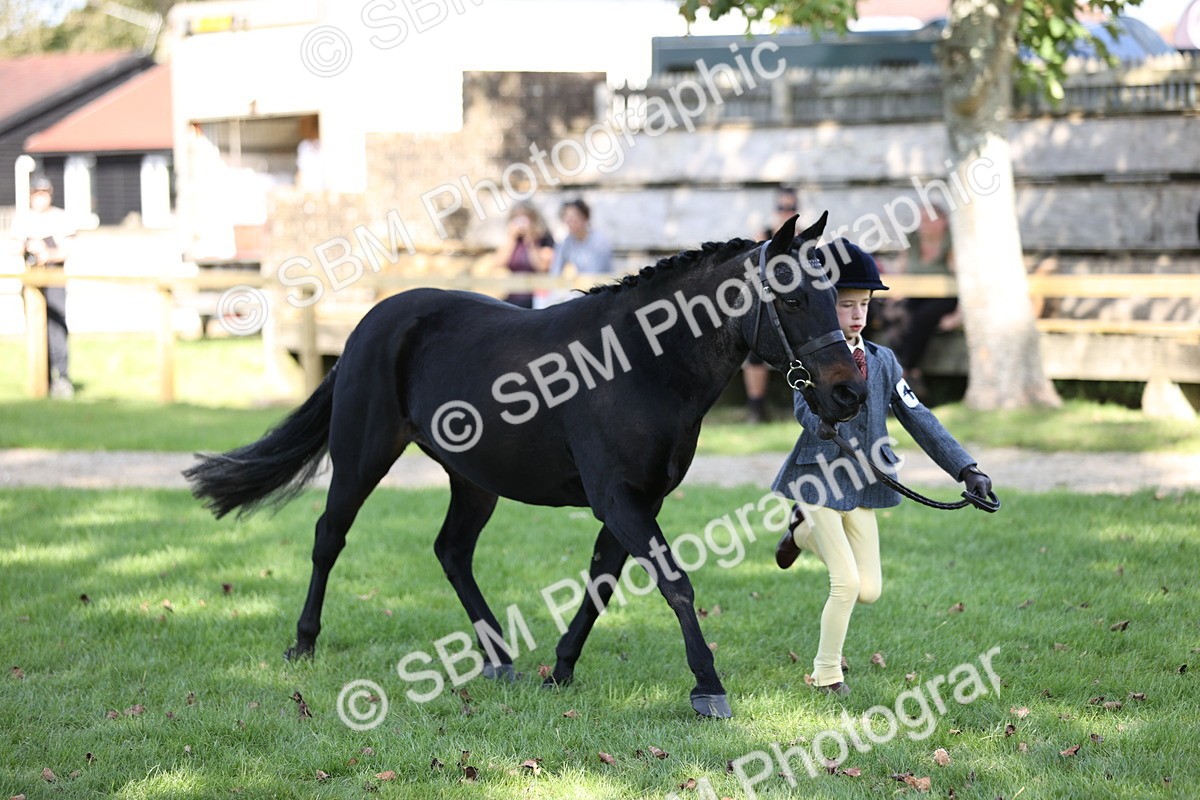 SBM_26237 - S5 - Novice & Newcomers In Hand