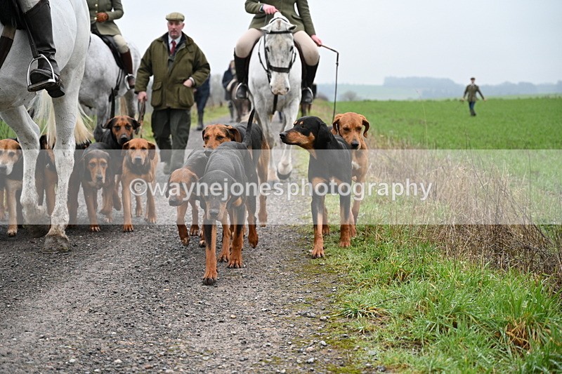 WJ7_9765 - Walk out..