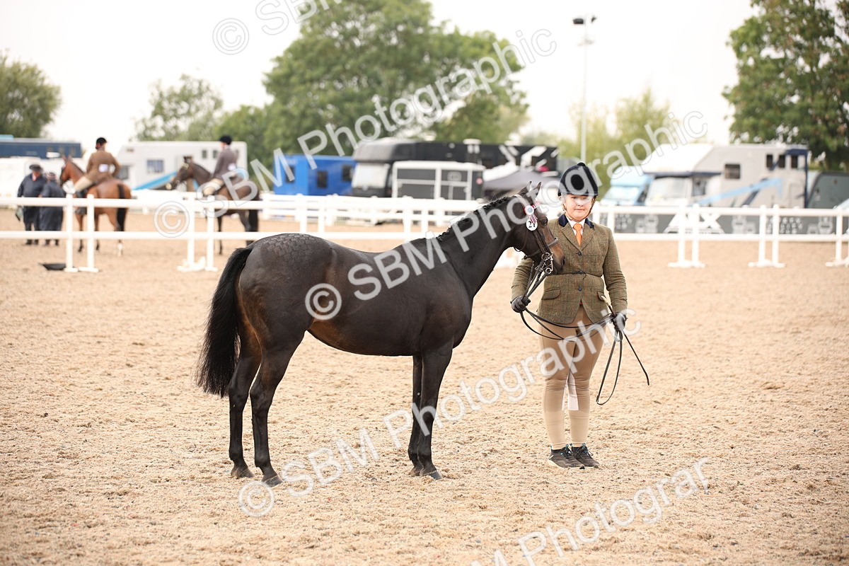 SBM_21447 - Class 706 - IH  Veteran