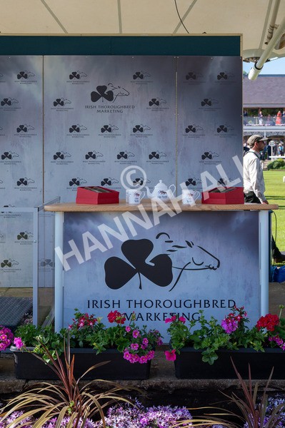 160525-Race 5-The Man-6582 - Race 5 4.15pm Irish Thoroughbred Marketing Handicap