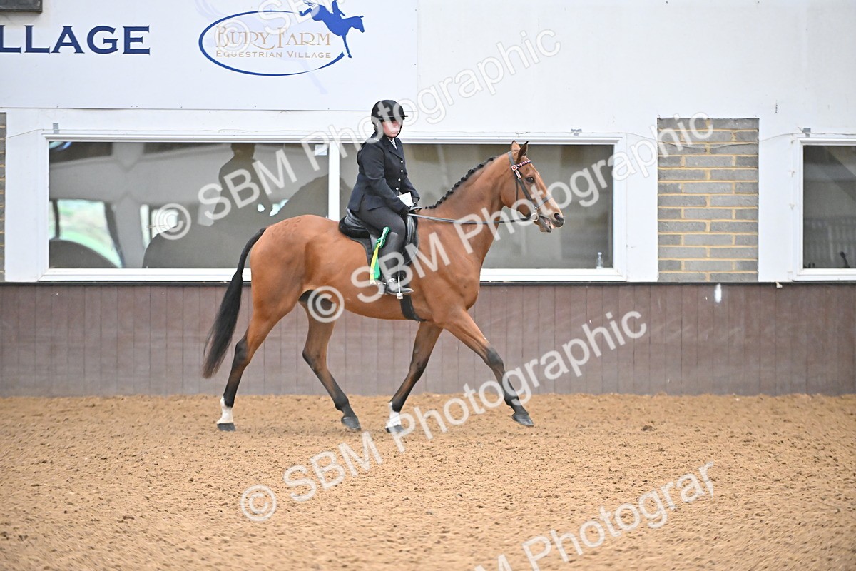 SBM_001978 - Class 25 - Tattersalls ROR Amateur Ridden