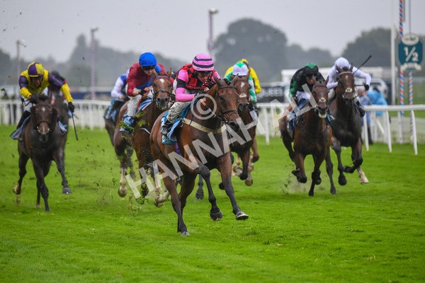 140723-Race 4-Andaleep-0389 - Race 4 3.50pm Azets Handicap