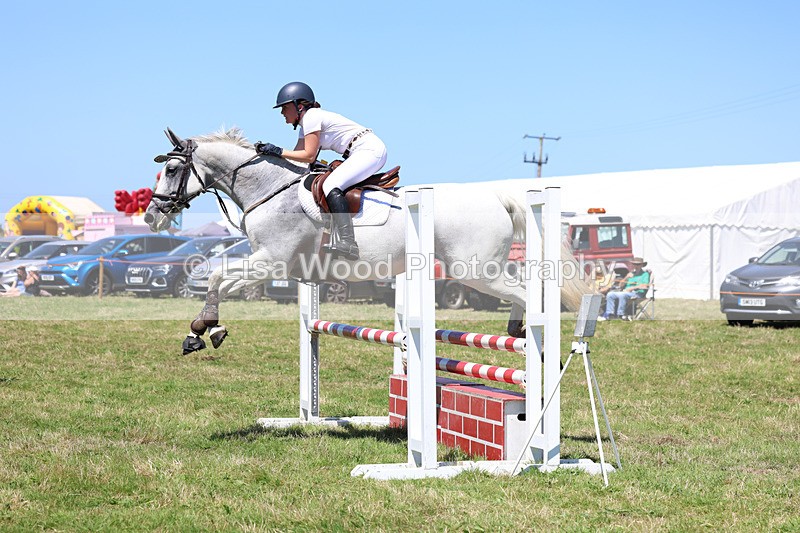 3E7A5626 - Class 9: Senior British Novice/90cm open