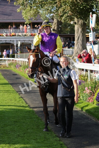 yr08102021r5-25 - Race 5 4.20pm Copper Knight - Winning Most Horse At York Handicap