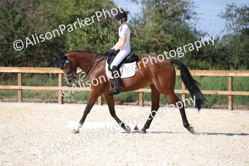 20260905-1503 - Class 5 - Novice 2