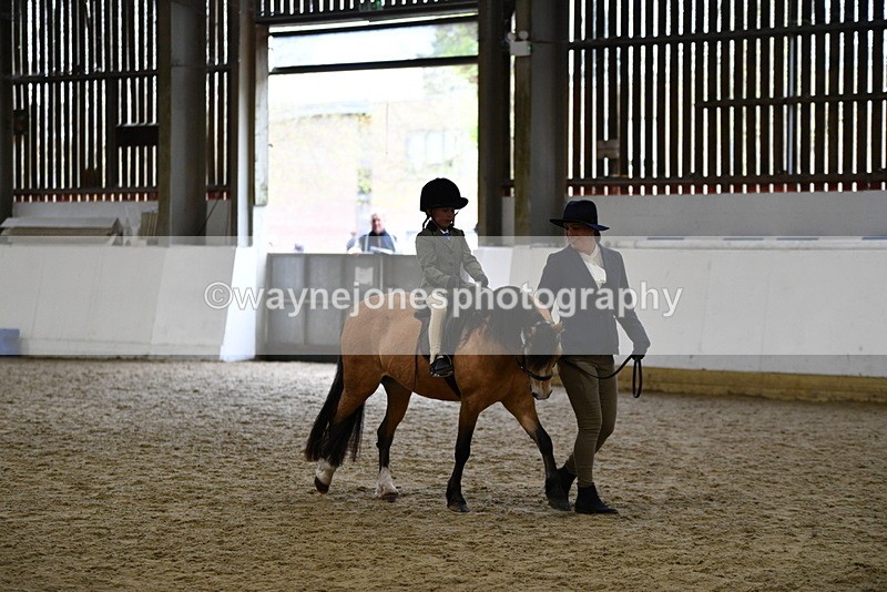 WJ5_6753 - Class 10 Childs Pony