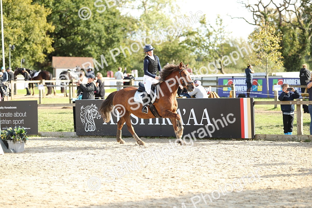 SBM_49681 - J22 - Junior Horse 65cm Championship