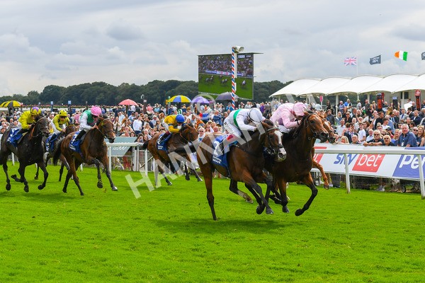 240823-Race 4-Warm Heart-0532 - Race 4 3.35pm Pertemps Network Yorkshire Oaks