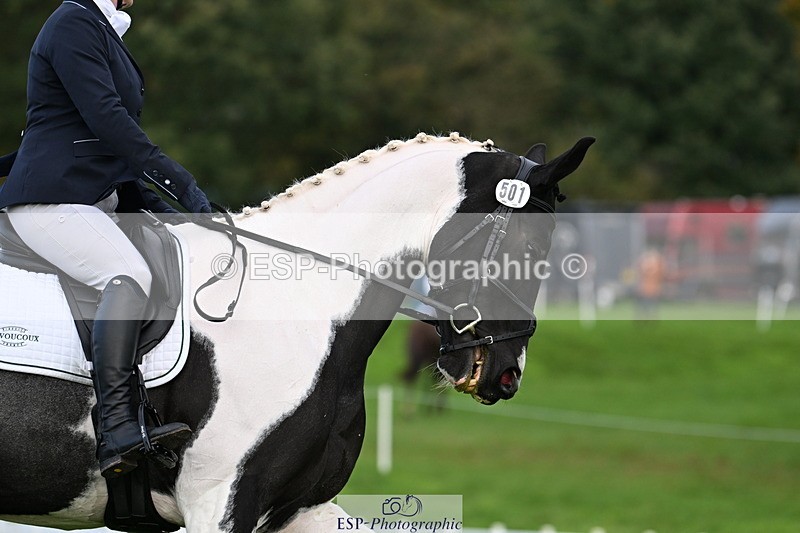 251023A-100414-02362 - G-501-Kathryn.Board