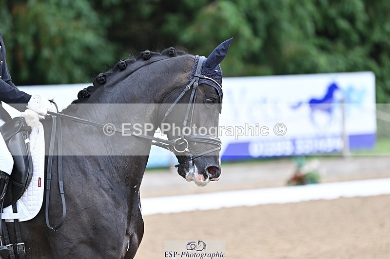 240810-105016-02541 - 223-Robyn.Walker-St.Giles.Dark.Magic