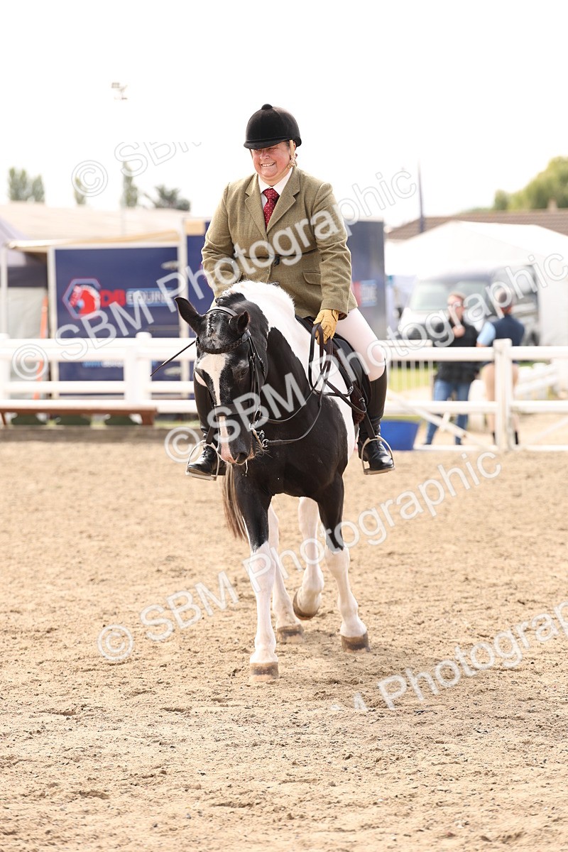 SBM_04288 - Class 54 - Riding Club Horse/Pony
