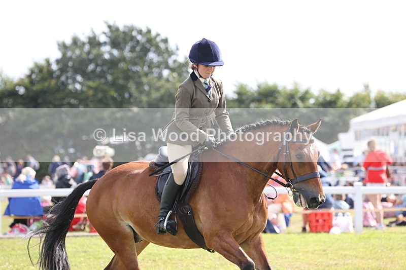 JPP_2627 - Class 20: Working Hunter 70cm