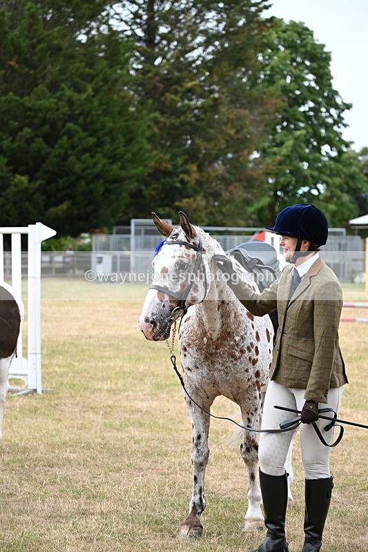 WJ6_3995 - Class 9 Tack & Turnout