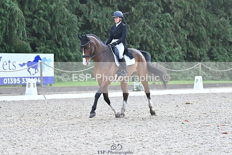 231019-110215-02022 - 105-BRIGHT.KNIGHT.III-Janet.Clarke-DR