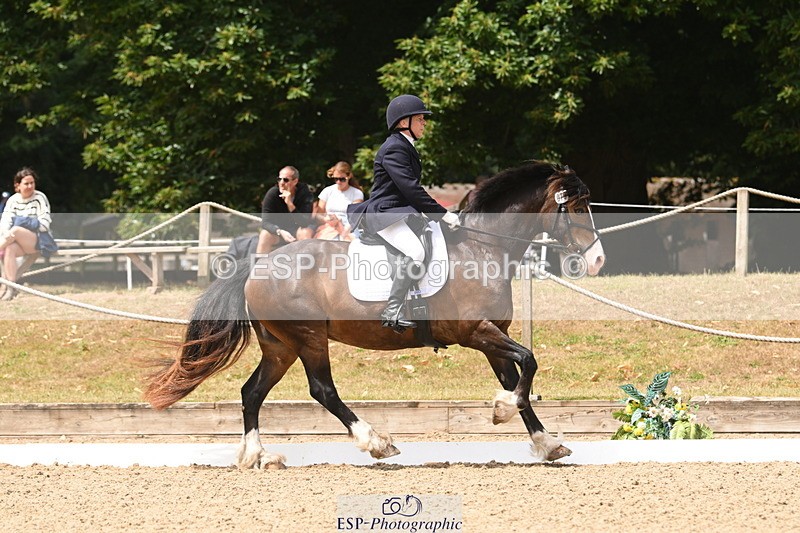 250720A-115951-10116 - 079-Amanda.Williams-Llanarth.Westminster