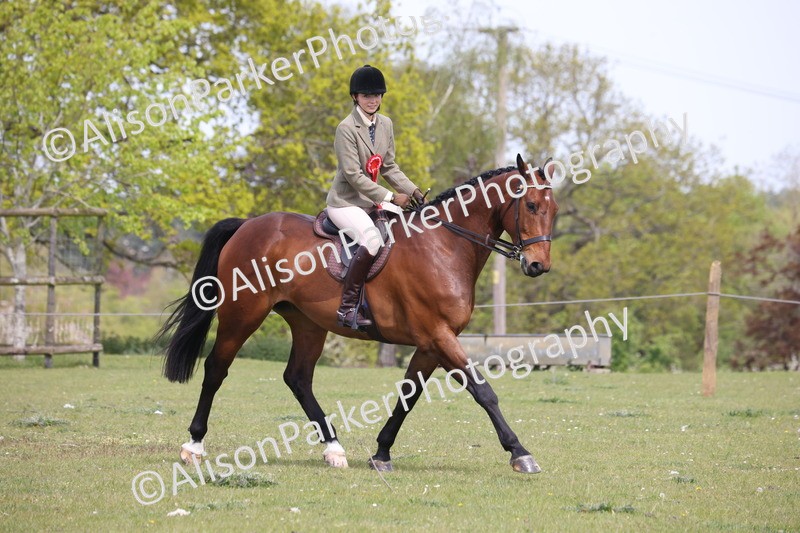 20260426-4464 - Class 34 - Best Riding Horse Over 14.2hh