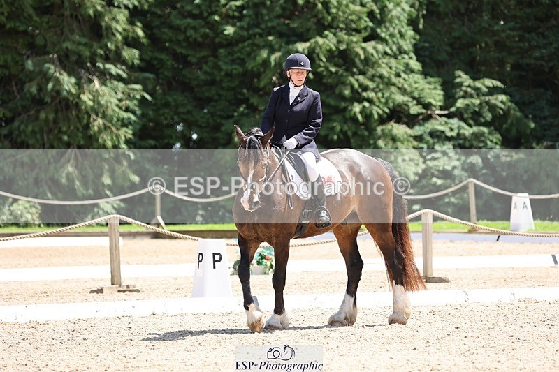 240721-132932-08813 - 176-Amanda_Williams-Llanarth_Westminster