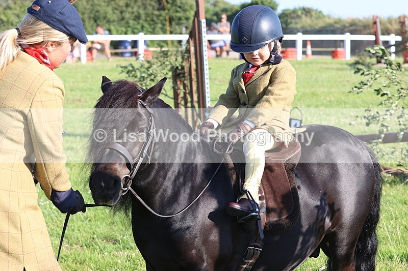 JPP_0804 - Class 16: Cornish Combination Leading Rein