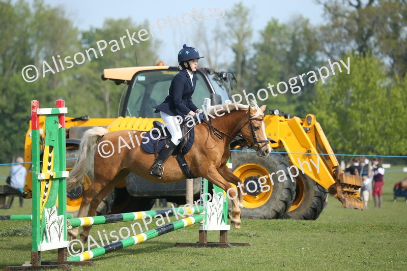 20260426-0156 - Class 13 - Rookie Jumping 50cm
