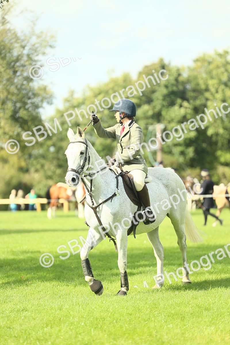 SBM_47925 - S32 - Novice & Newcomers Working Hunter