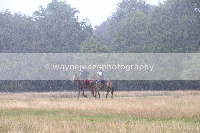 DSC_3065 - Time at Statue 12:59 to 13:49