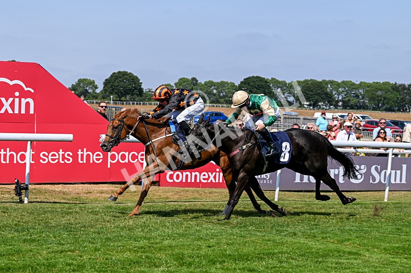 140726-Race 2-What A Tahoo-9778 - Race 2 14.47pm Young Guns Handicap