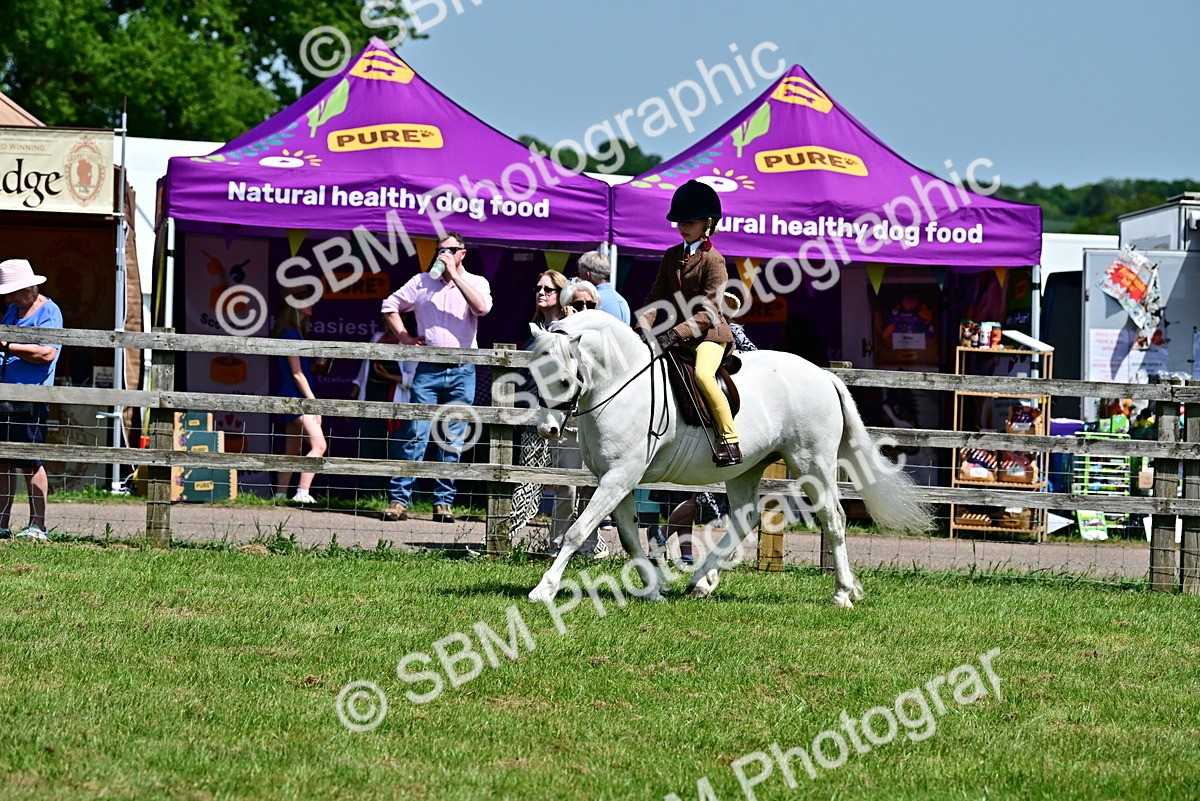 SBM_06058 - Class 59-60 - TSR M&M  Lear Rein and First Ridden Amateur of the year