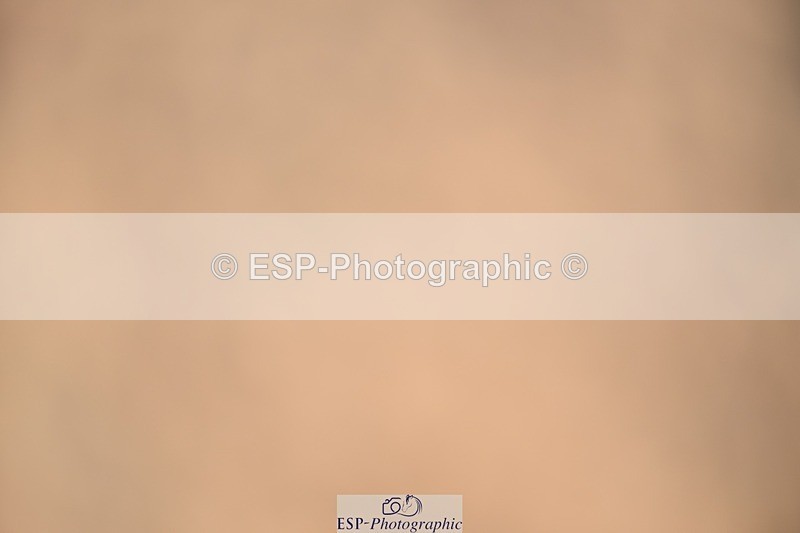 250322-134724-01141 - SJ 90cm (Elementary 2) and Presentations