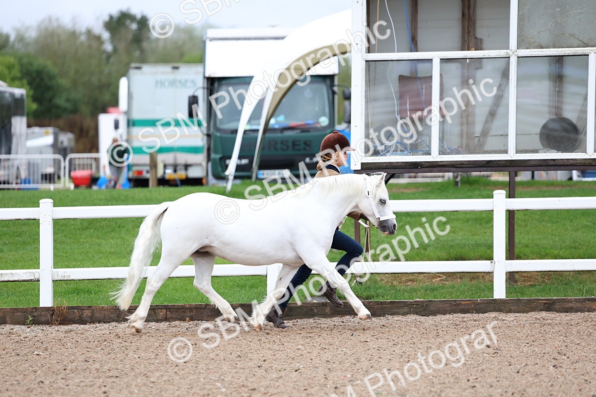 SBM_00229 - Class 13 - Young Handler