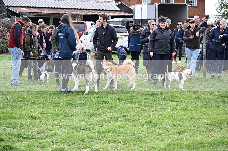 WJ6_8448 - Class 6 Best Rescue