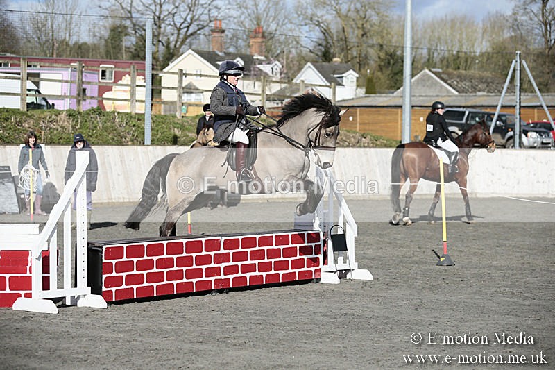 BVRC SJ 170319 46 - Bourne Valley Riding Club Showjumping 17/03/19