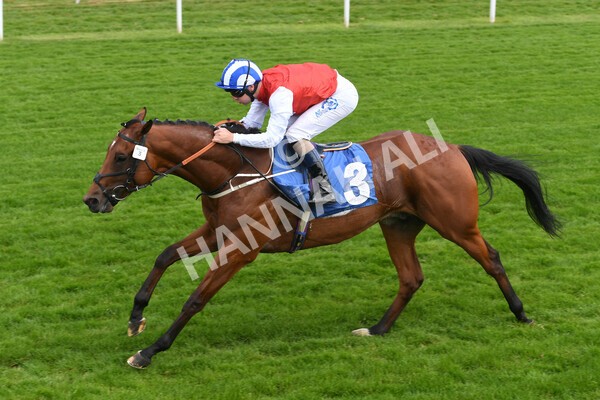 yr10062022r2-26 - Race 2 2.30pm SKF Rous Selling Stakes