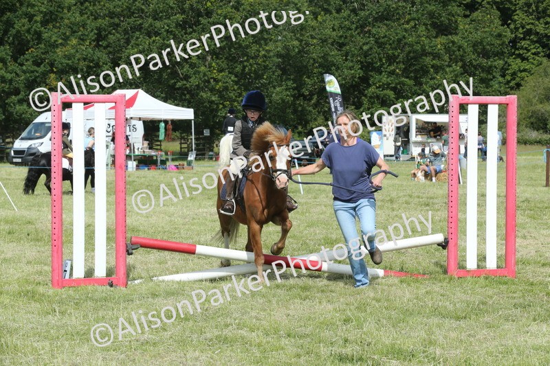 20260614-0281 - Class 1 - 30cm Lead Rein