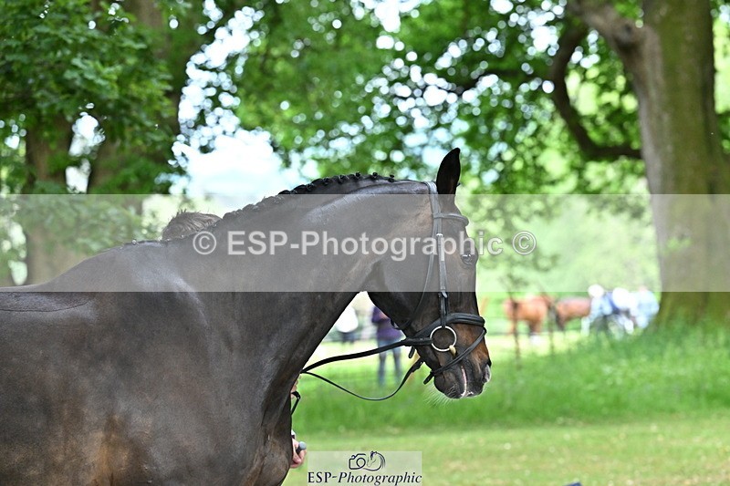 250521A-143811-00136 - A-012-Archie.Tulloch-ZIPPED.UP