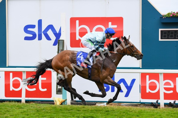 170623-Race 3-Quickthorn-0478 - Race 3 3.05pm Sky Bet Race To The Ebor Grand Cup Stakes