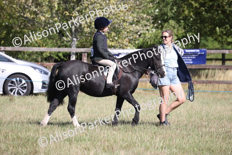 20260906-2147 - Class 16 - Family Pony