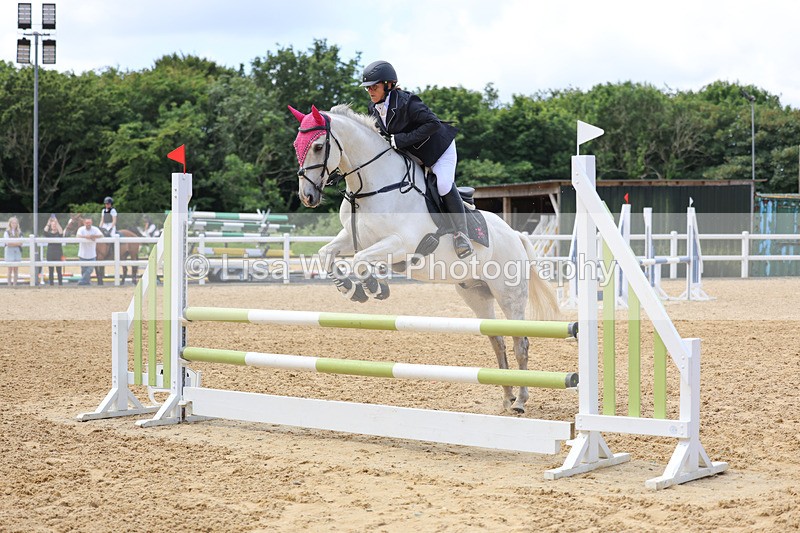 3E7A3030 - Class 4: Senior British Novice/90cm open