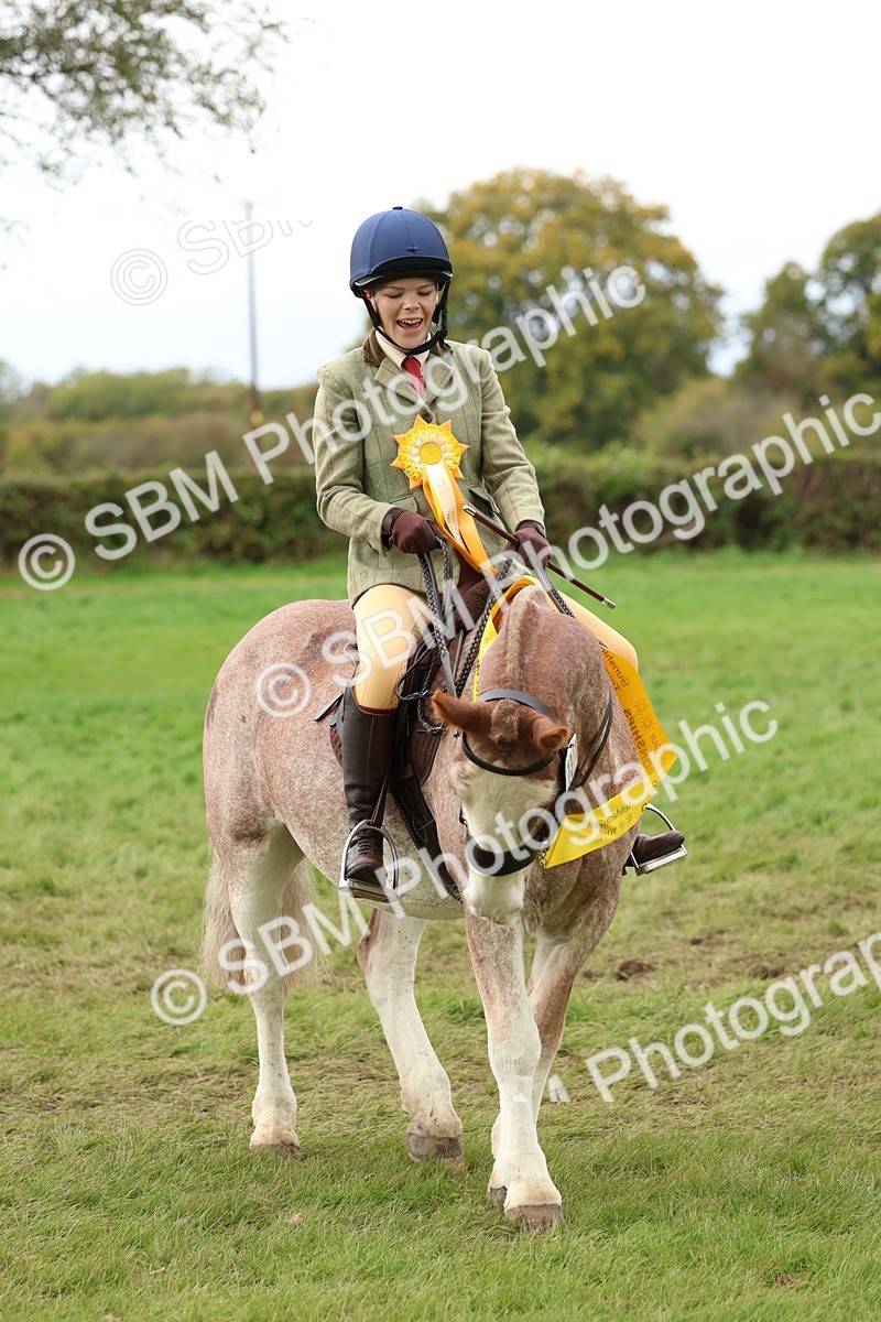 SBM_67559 - S60 - Mini Show Cob Ridden
